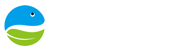 球探体育即时比分比分